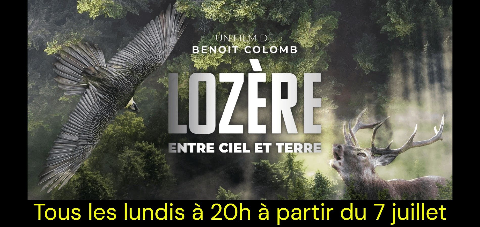 actualité lozere