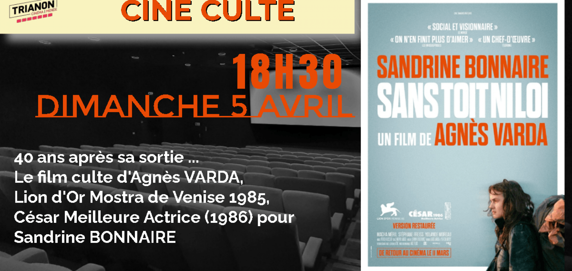 actualité SANS TOIT NI LOI