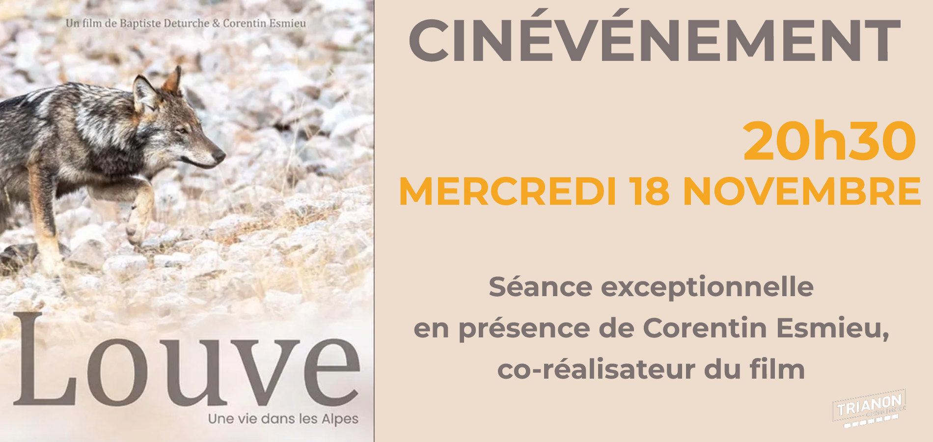 actualité LOUVE